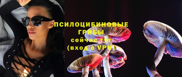 ешки Верхний Тагил