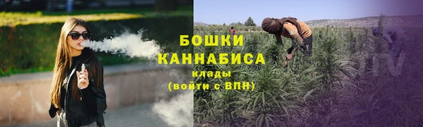 ешки Верхний Тагил