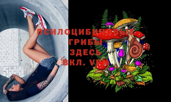 ешки Верхний Тагил
