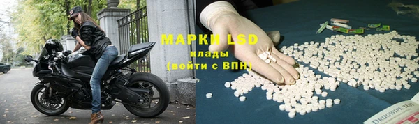 стафф Верея