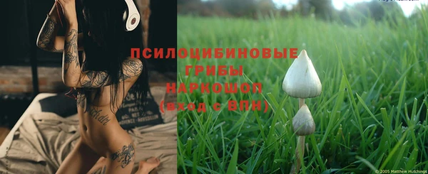 стафф Верея